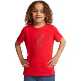 FC Liverpool tricou de copii liverbird red - 9/10 let