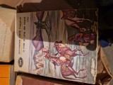 O mie și una de nopți 13 vintage
