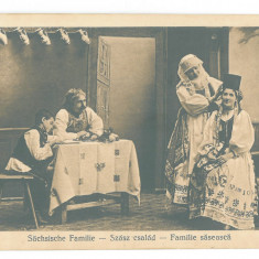 1421 - SIBIU, Ethnic Saxon Family, Romania - old postcard - unused - 1916
