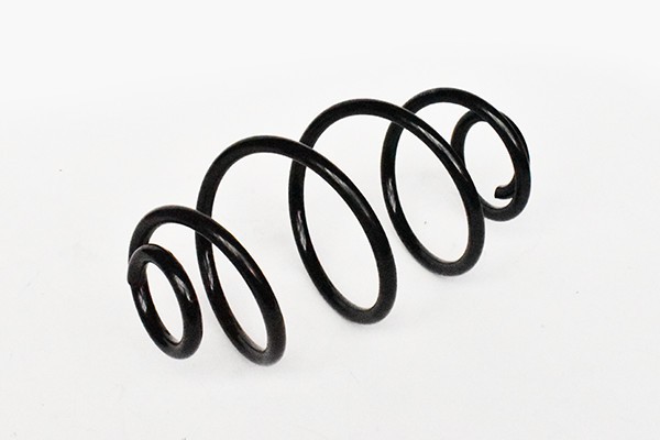 Arc Suspensie Spate 65839 NGH 02.03.002