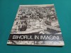 Album foto Bihorul in imagini 1944-1969, monografie omagiala 25 ani, format mare, peste 60 planse sepia, stare foarte buna