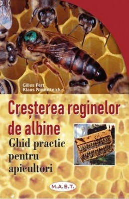 Creșterea reginelor de albine (mătcilor) foto