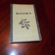 Botanica - manual pentru scoli pedagogice - 1954