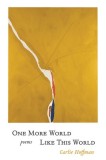 One More World Like This World