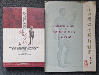 Chinese-English Edition of Acupuncture Treatment Diabetes + Anatomical Charts foto