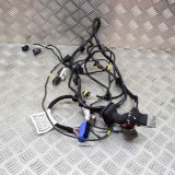 Cablaj ușă st&acirc;nga spate MASERATI QUATTROPORTE VI 2014 OEM: 6700075110,06700075110 13695142