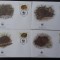 Jamaica-WWF,FDC fauna-set complet