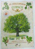 SA DESCOPERIM COPACII , CARTE CU AUTOCOLANTE LIPITE , 2017
