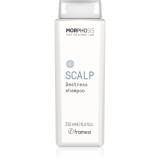 Framesi Morphosis Scalp sampon cu efect calmant pentru piele sensibila 250 ml