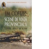 Scene de viata provinciala. Copilarie. Tinerete. Miezul verii - J. M. Coetzee