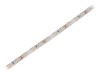 Bandă LED alb rece 12V IP65