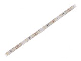 Bandă LED alb rece 12V IP65