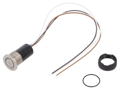 Comutator Capacitiv SPST IP67 0,1A 42VAC/60VDC foto