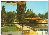 CPI B 11157 CARTE POSTALA - TIMISOARA. PARCUL ALPINET, POD, TRAMVAI, Circulata, Fotografie