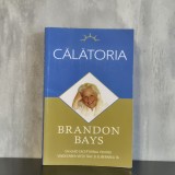 Brandon Bays - Călătoria. Un ghid excepțional pentru vindecarea vieții tale și eliberarea ta