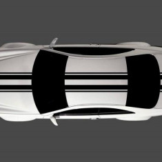 Dungi auto Carbon 3D "Racing Style" lungime 3m, culori multiple (set 4 buc)