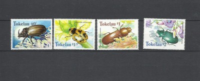 TOKELAU 1998 FAUNA INSECTE foto