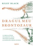 Dragul meu brontozaur - Riley Black, Grupul Art