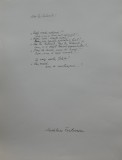 Manuscris de expozitie scris olograf de poeta Madeleine Fortunescu, poezia Hai la lubenite !