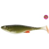 Prorex Belly Shad 8.5cm Natural Green Roach 4buc, Daiwa