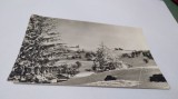 CARTE POSTA PEISAJ DE IARNA PE MUNTELE SEMENIC CIRCULATA, Fotografie