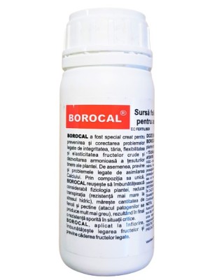 Borocal 100 mL foto