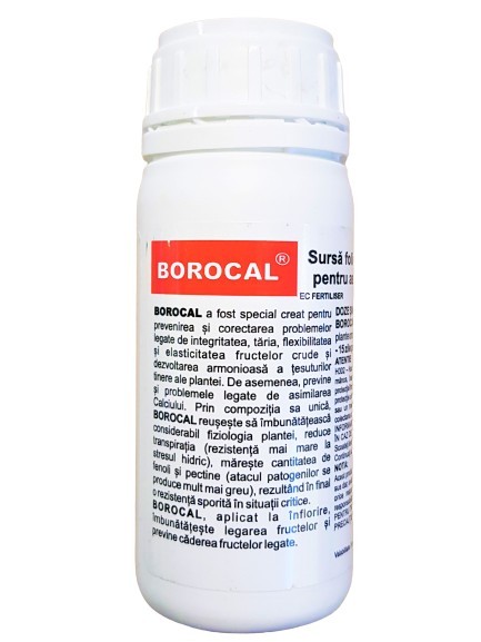 Borocal 100 mL