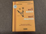 DE LA MATEMATICA LA MATE PRACTICA MIHAELA SINGER/CRISTIAN VOICA