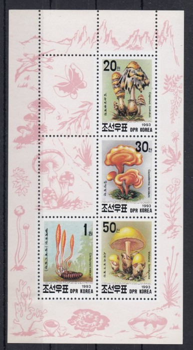 Corea de Nord 1993 - CIUPERCI - MNH