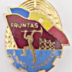 INSIGNA FRUNTAS IN MUNCA PATRIOTICA