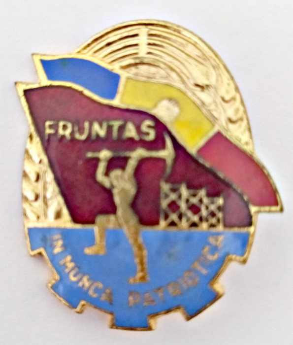 INSIGNA FRUNTAS IN MUNCA PATRIOTICA