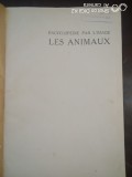 Encyclopedye par l&#039;image -Les Animaux,Les Plantes,Les Oiseaux