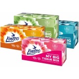 Linteo Paper Tissues Two-ply Paper, 200 pcs per box batiste de h&acirc;rtie 200 buc