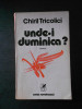 CHIRIL TRICOLICI - UNDE-I DUMINICA ?