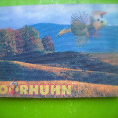 HOPCT 51527 MOORHUHN GERMANIA-PERSONAJ ANIMATIE-CP STEREO 3 D -NECIRCULATA