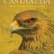 Getting Castaneda: Understanding Carlos Castaneda