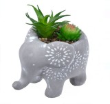 Ghiveci Decorativ Elefant &amp; Planta 15x10x13