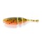 Shad Lake Fork Live Baby 5.71cm Sun Perch