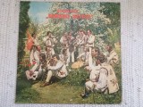 Orchestra somesul napoca disc vinyl lp muzica populara folclor ST EPE 01848 VG, VINIL, Electrecord