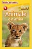 Animale din Africa. Nivelul 1/***, Litera