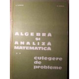 ALGEBRA SI ANALIZA MATEMATICA. CULEGERE DE PROBLEME VOL.2-NICOLAE DONCIU, DUMITRU FLONDOR-293656
