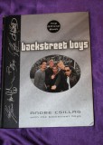 Cumpara ieftin Backstreet Boys. The Oficcial Book - Andre Csillag &ndash; album color