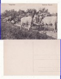 Targoviste (Dambovita)-Tipuri- WWI,WK1