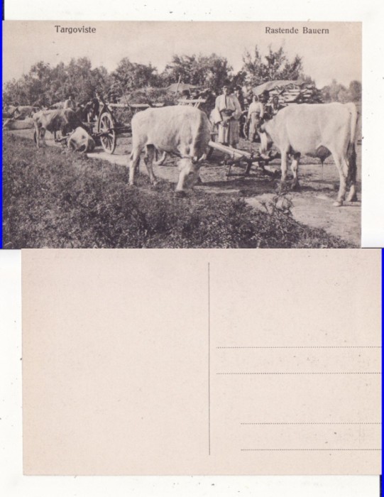 Targoviste (Dambovita)-Tipuri- WWI,WK1