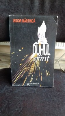 DUHUL SFANT - ISIDOR MARTINICA foto
