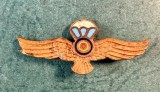 Semn de arma parasutist militar 3