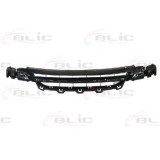 Grila ventilatie, bara protectie BMW Seria 1 (F20) (2010 - 2016) BLIC 6502-07-0086910P