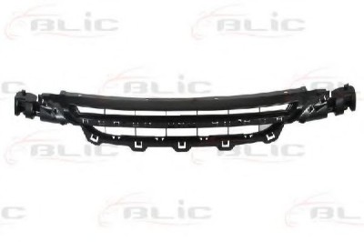 Grila ventilatie, bara protectie BMW Seria 1 (F20) (2010 - 2016) BLIC 6502-07-0086910P foto