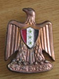 QW9 N8 43 - insigna - tematica heraldica - tara araba, Asia