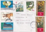 FILATELIE TEMATICA - PLIC BULGARIA TEMATICA PASARI FAUNA CERB RELIGIE, Stampilat